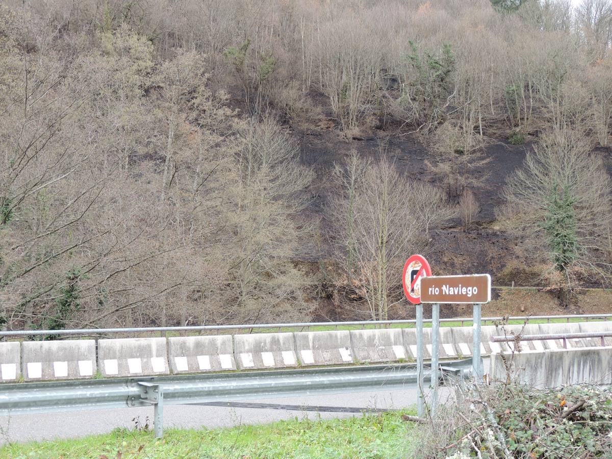 Los daños del fuego en Cangas del Narcea