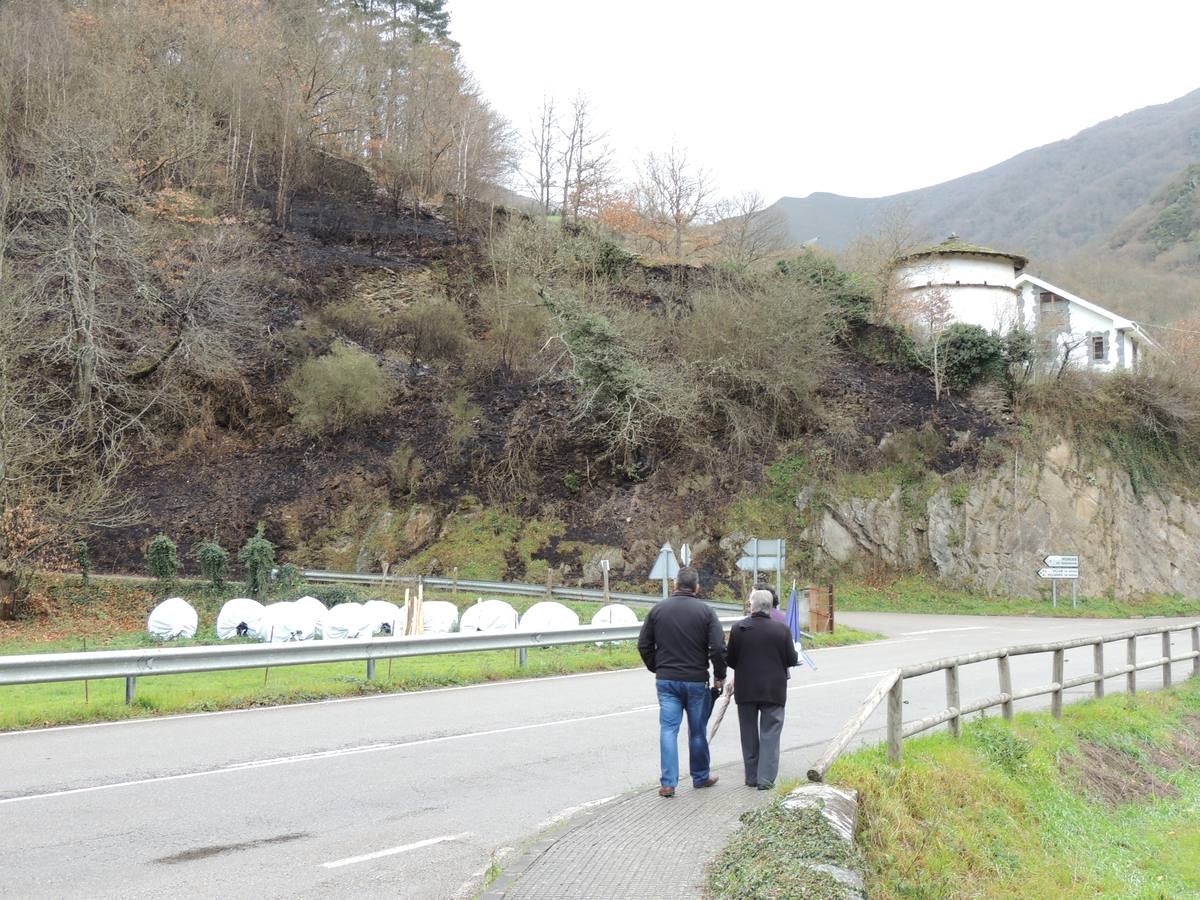 Los daños del fuego en Cangas del Narcea