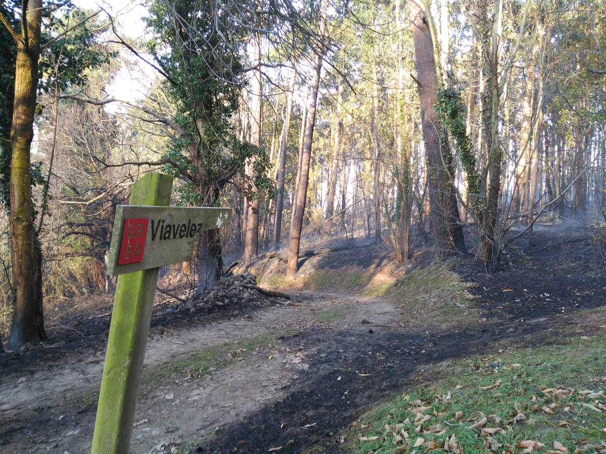 Los efectos del fuego en Coaña