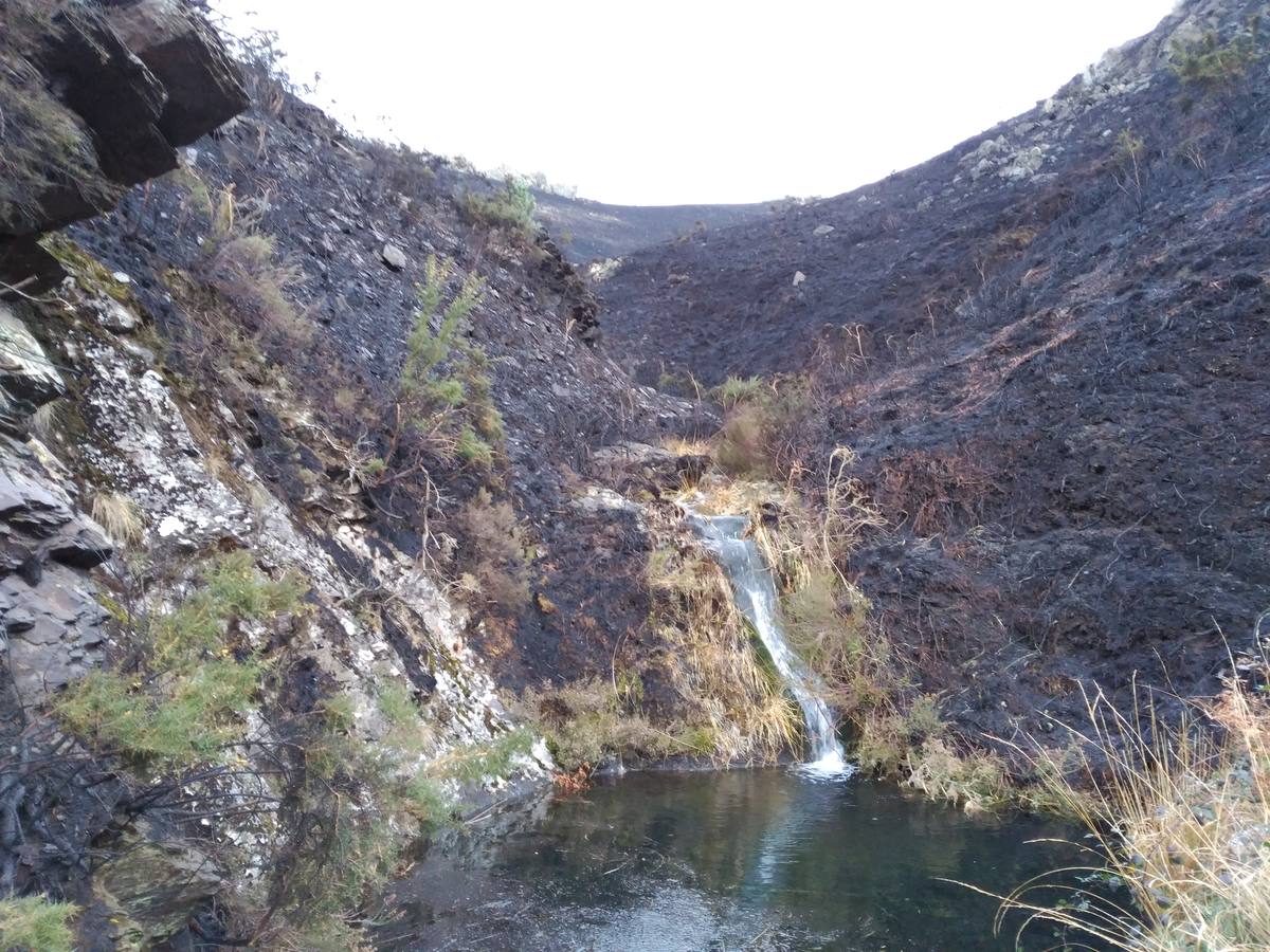 Los daños del fuego en Asturias