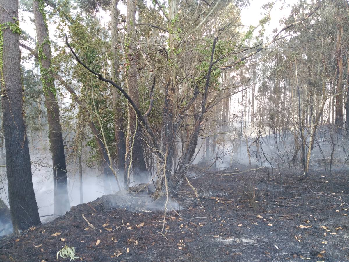 Los daños del fuego en Asturias