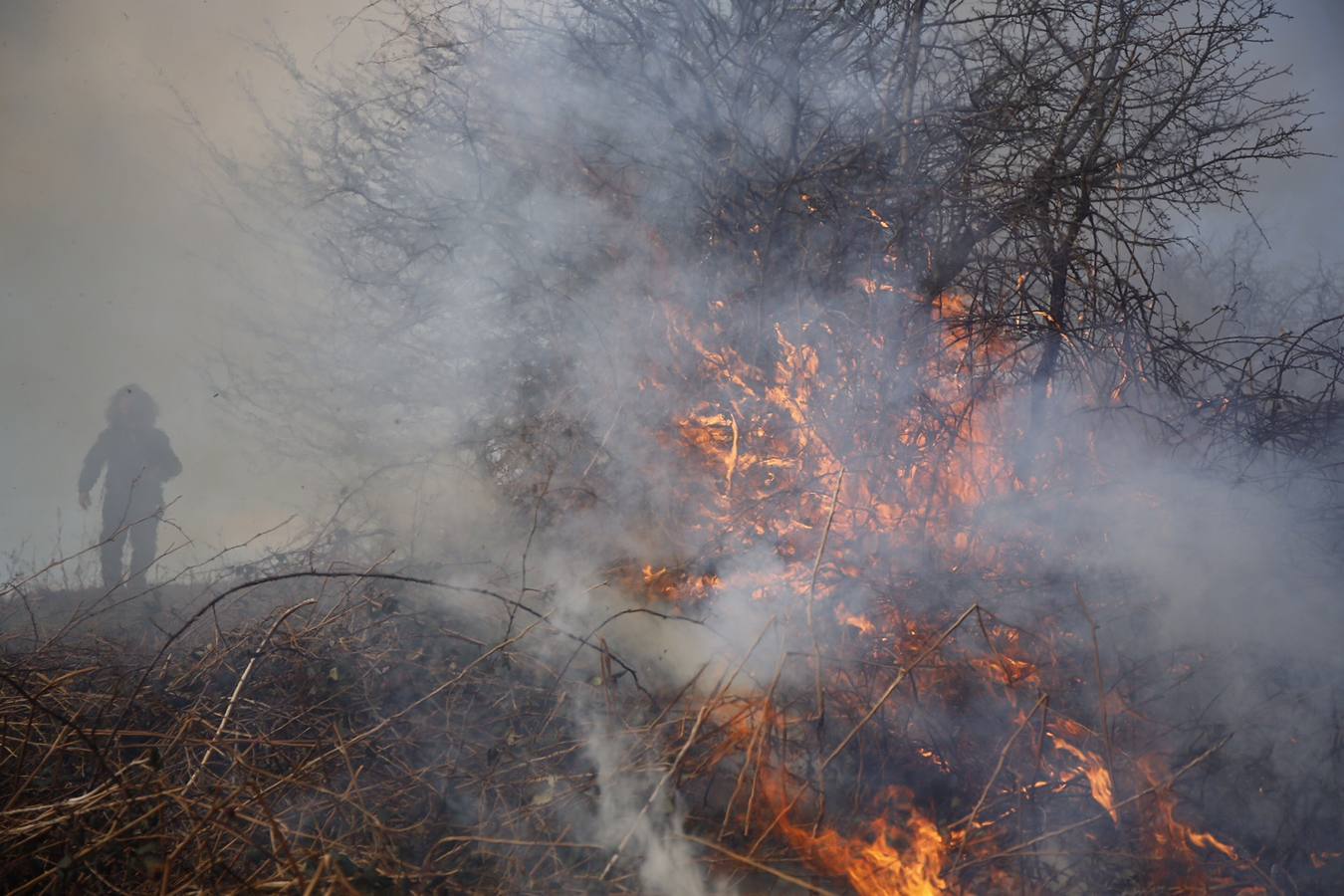 Las imágenes que dejan cinco días de lucha contra el fuego en Asturias