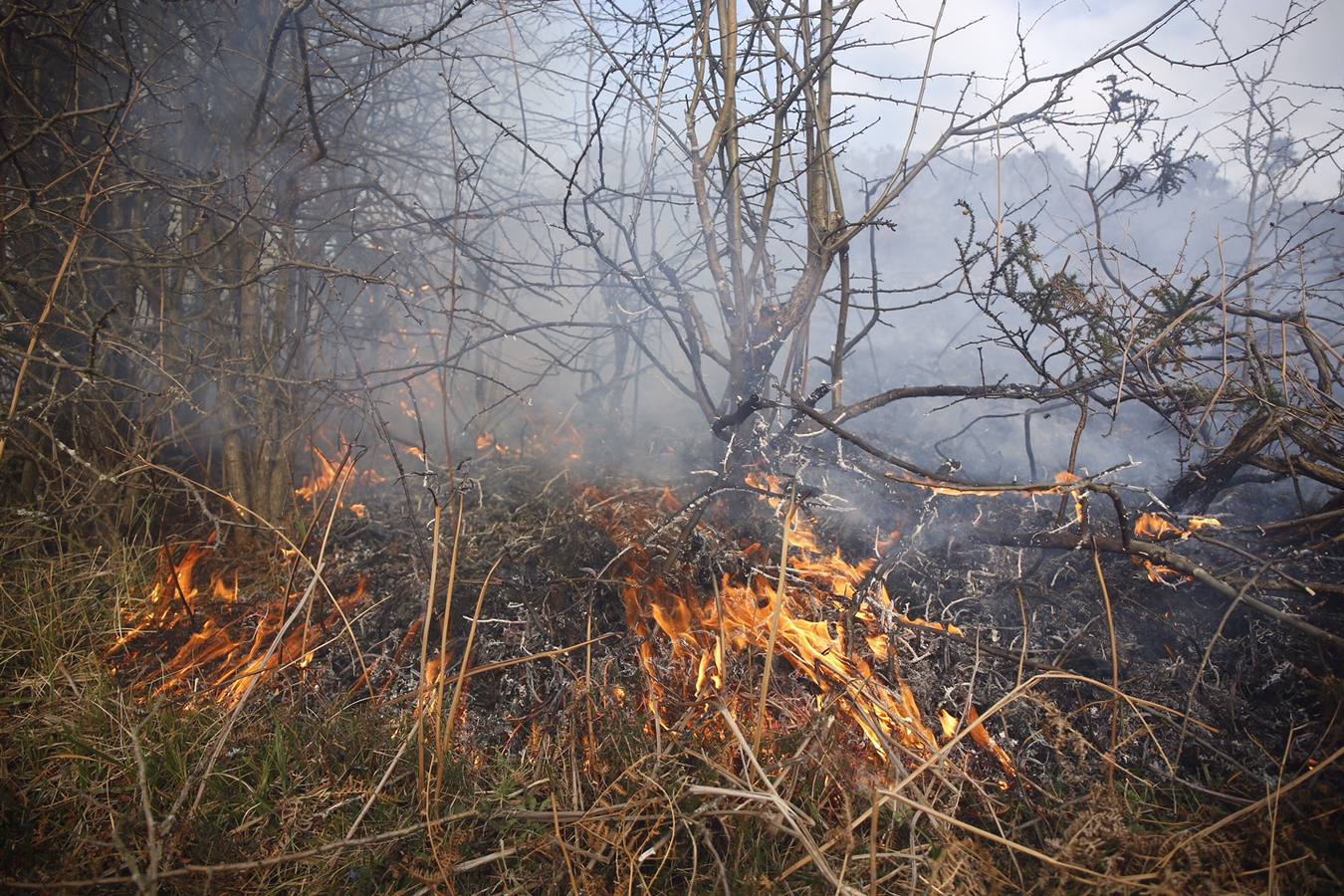 Las imágenes que dejan cinco días de lucha contra el fuego en Asturias