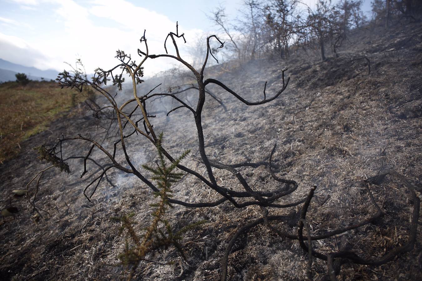 Las imágenes que dejan cinco días de lucha contra el fuego en Asturias