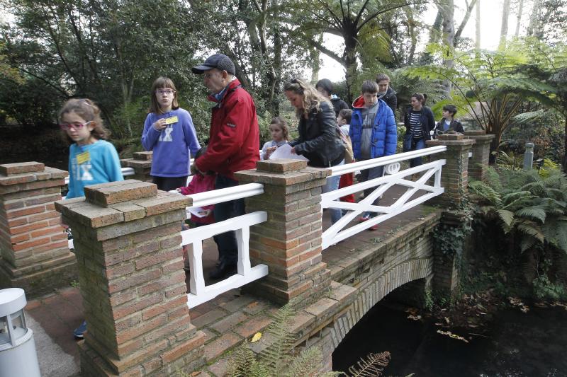 Jardín Botánico de Gijón.