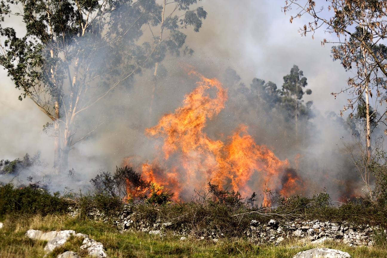 Bomberos y vecinos se arman contra el fuego