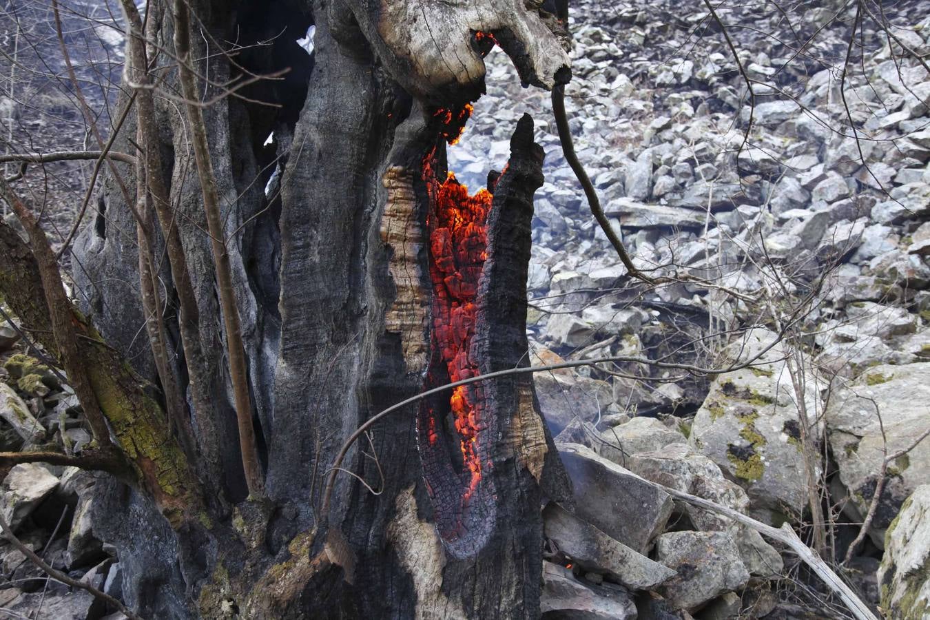 Los daños del fuego en Ponga