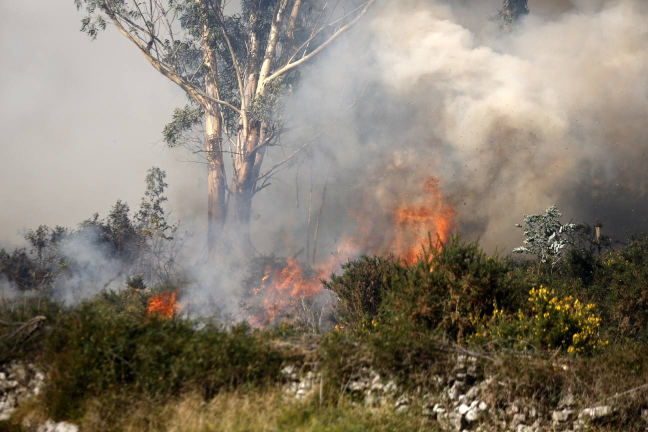 Espectacular incendio de Soto de Ribera