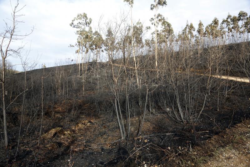 Así están los alrededores de La Fresneda tras el incendio que cercó la urbanización