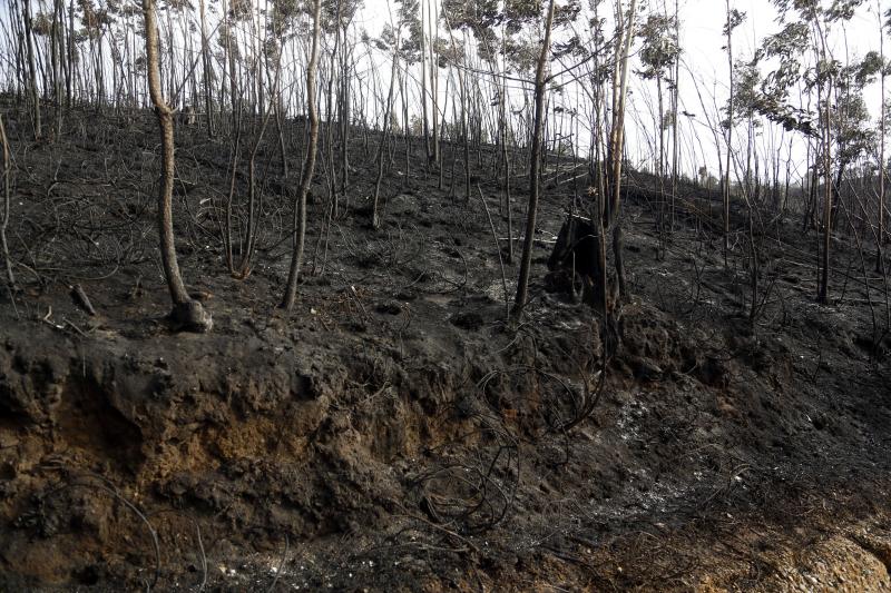 Así están los alrededores de La Fresneda tras el incendio que cercó la urbanización