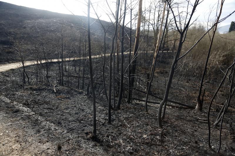 Así están los alrededores de La Fresneda tras el incendio que cercó la urbanización