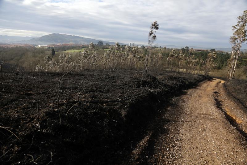 Así están los alrededores de La Fresneda tras el incendio que cercó la urbanización