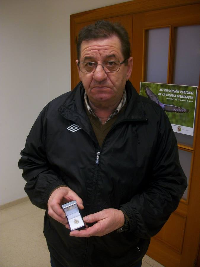 Exposición regional de palomas mensajeras en El Franco