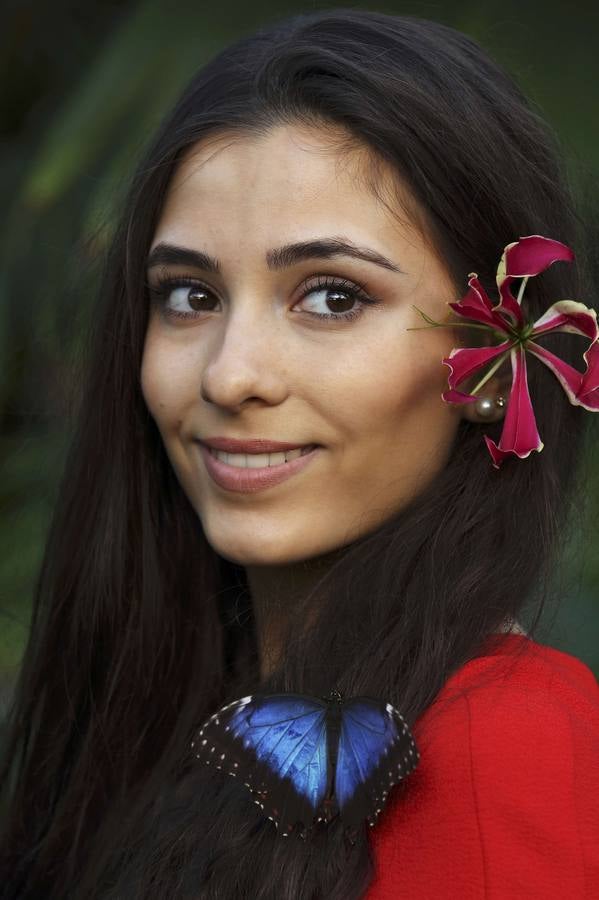 Exposición de mariposas