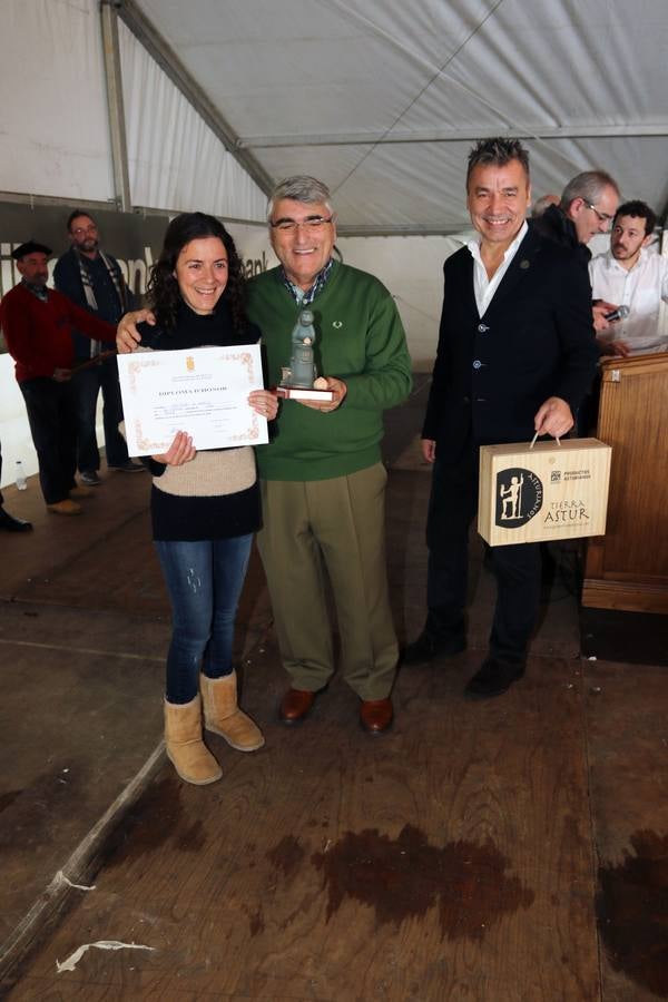 Certamen del Quesu Afuega&#039;l Pitu en La Foz