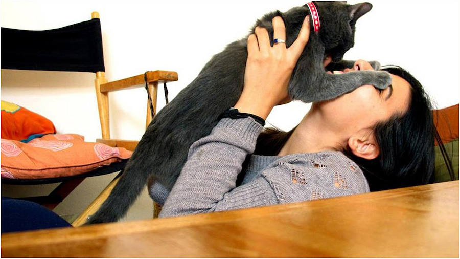 Concurso de mascotas exóticas