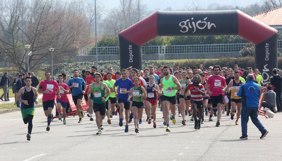 VIII Cross EPI-Campus de Gijón