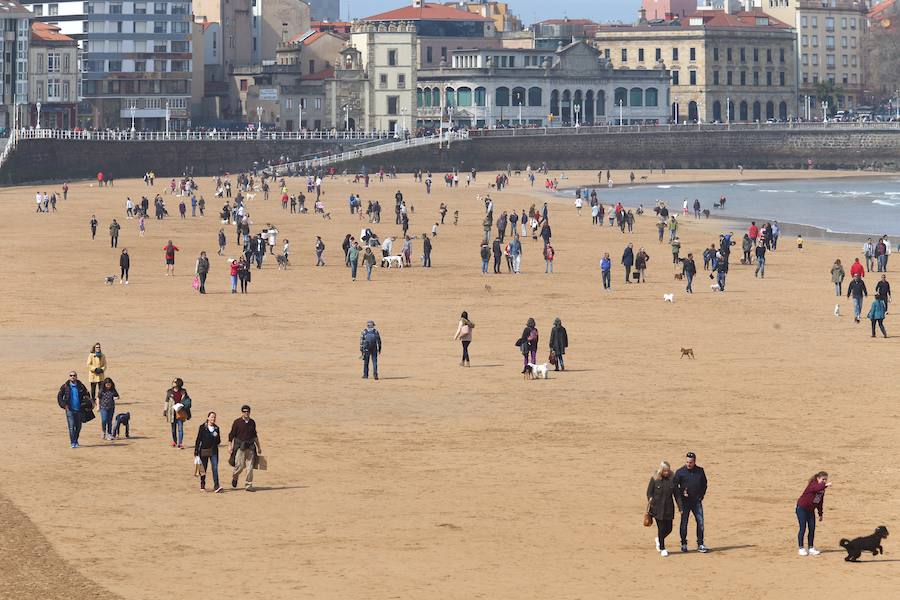 La playa de San Lorenzo es el escenario elegido por cientos de personas para disfrutar de esta jornada primaveral en Gijón.