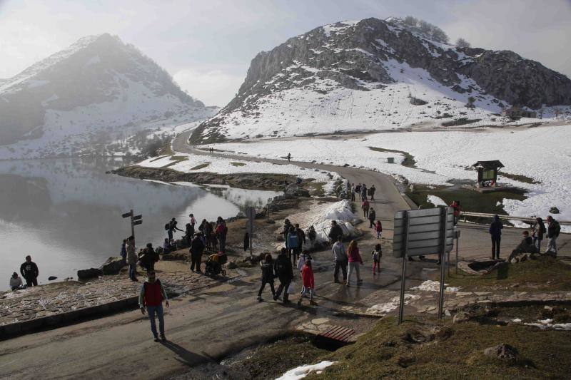 Cientos de personas han aprovechado el plan especial de transporte para disfrutar de los lagos de Covadonga, cubiertos por la nieve.
