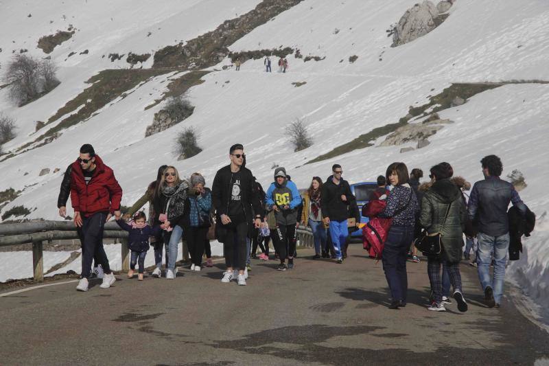 Cientos de personas han aprovechado el plan especial de transporte para disfrutar de los lagos de Covadonga, cubiertos por la nieve.