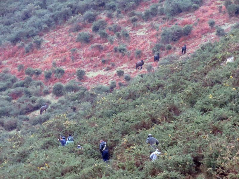 A la caza del caballo del Sueve