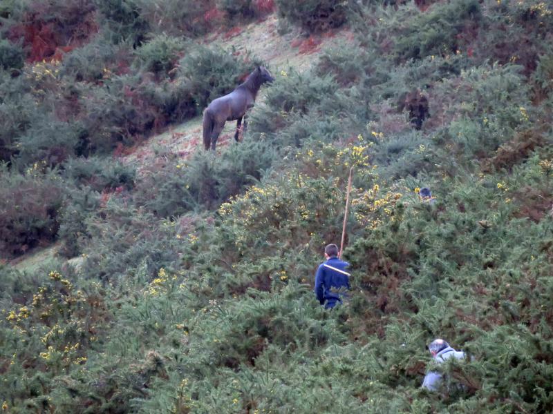 A la caza del caballo del Sueve