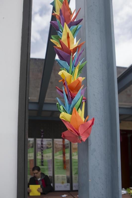 Flores de papel en el Botánico