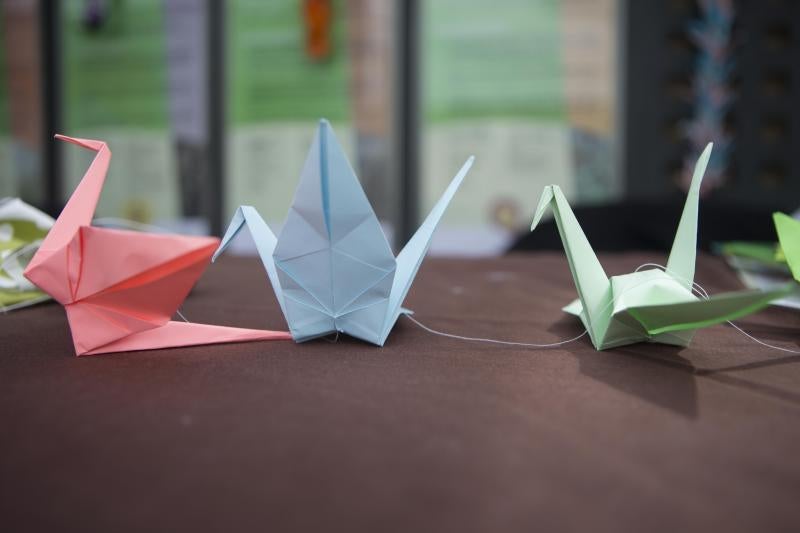 Flores de papel en el Botánico