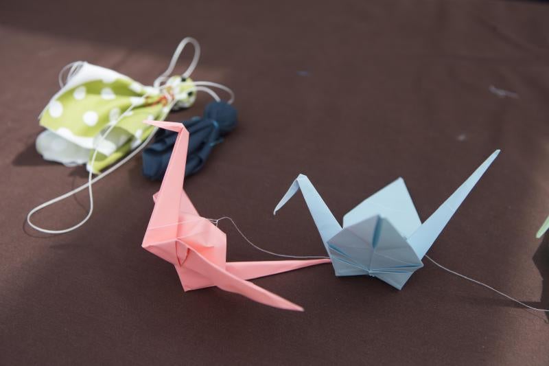 Flores de papel en el Botánico