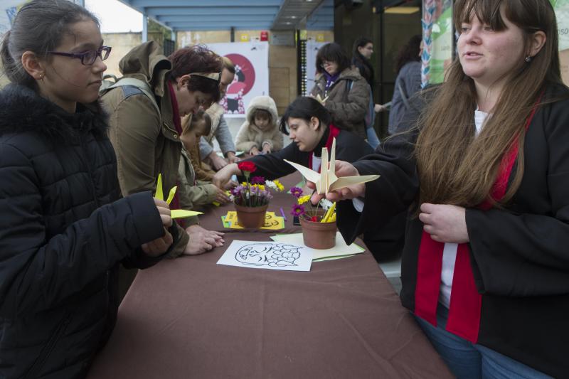 Flores de papel en el Botánico