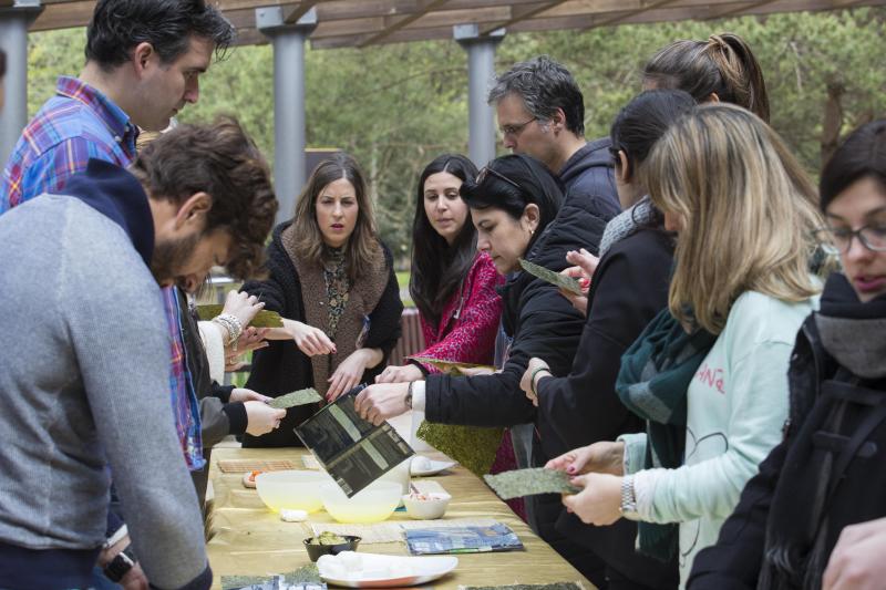 Flores de papel en el Botánico