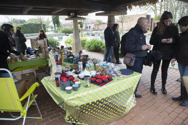 Flores de papel en el Botánico