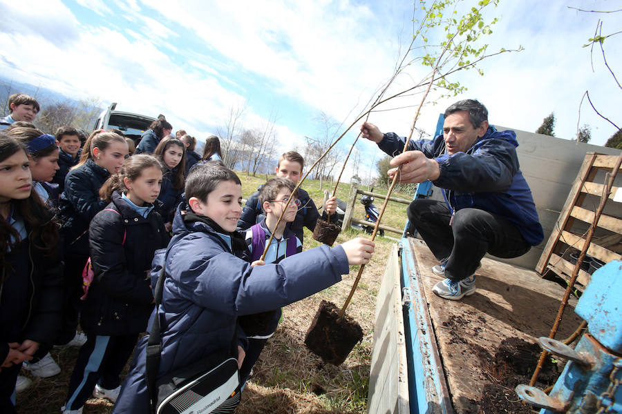 El colegio Amor de Dios celebra la Semana del Árbol