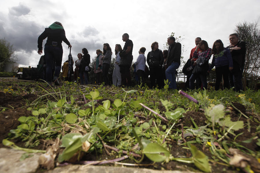 Jornada de puertas abiertas en el Jardín Botánico de Gijón