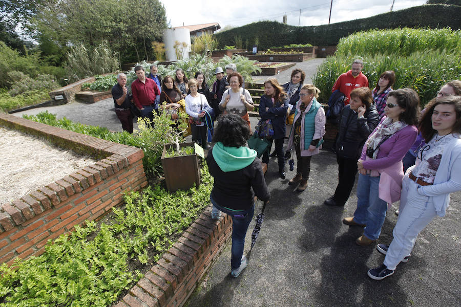 Jornada de puertas abiertas en el Jardín Botánico de Gijón