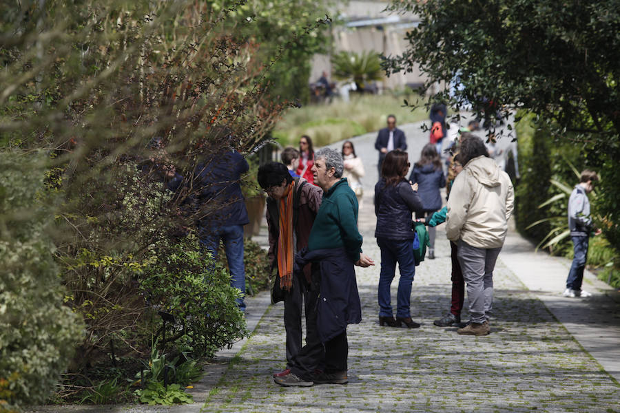 Jornada de puertas abiertas en el Jardín Botánico de Gijón