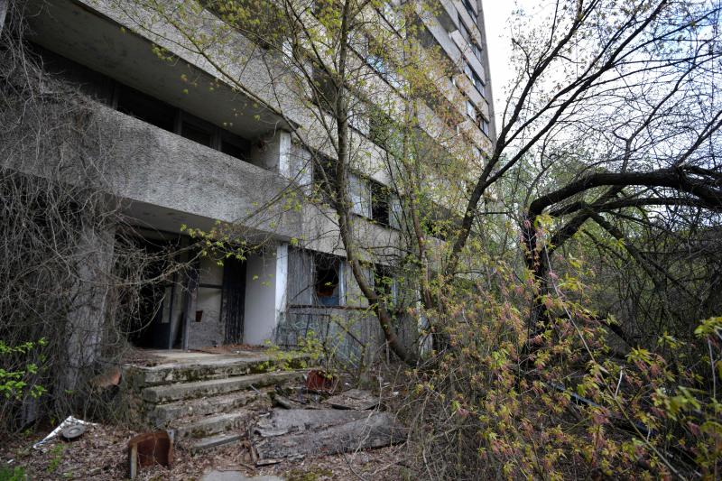 Chernobyl, 30 años después