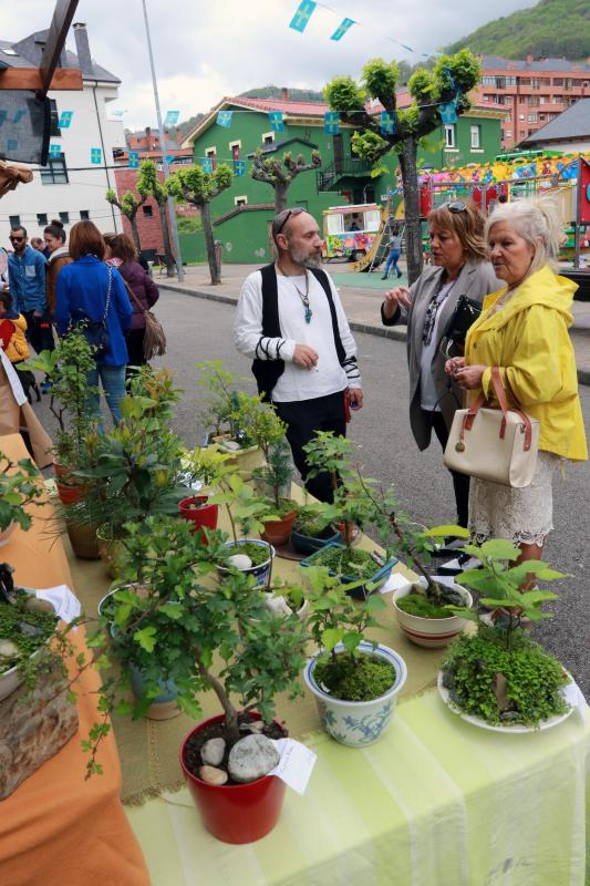 La tradición toma Turón