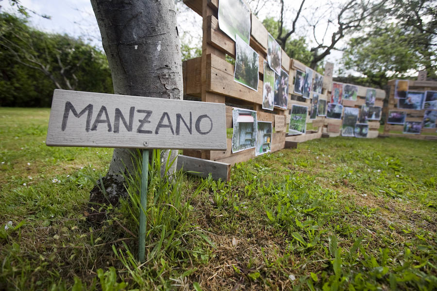 Los peques del Codema ya tienen su huerto