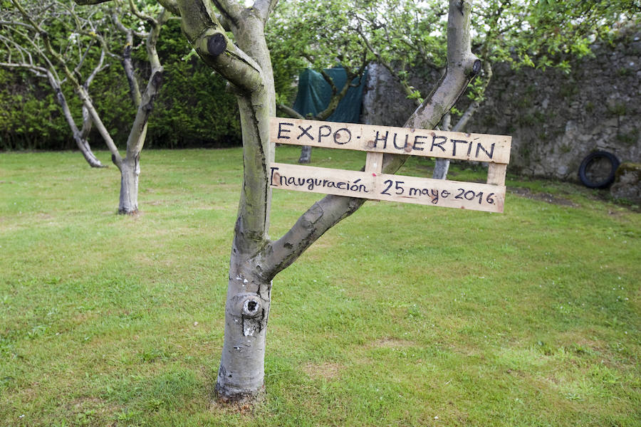 Los peques del Codema ya tienen su huerto