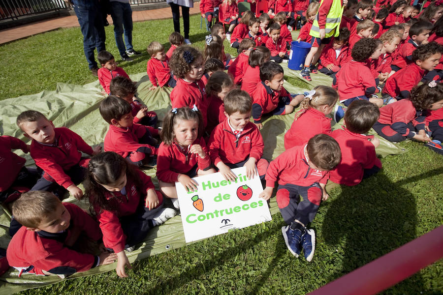 Los peques del Codema ya tienen su huerto