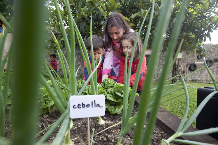 Los peques del Codema ya tienen su huerto