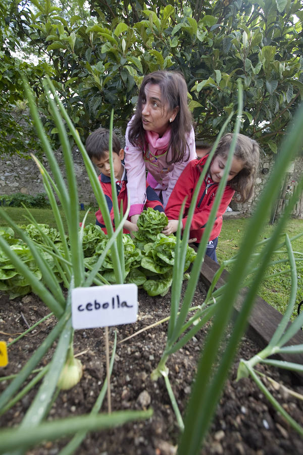 Los peques del Codema ya tienen su huerto