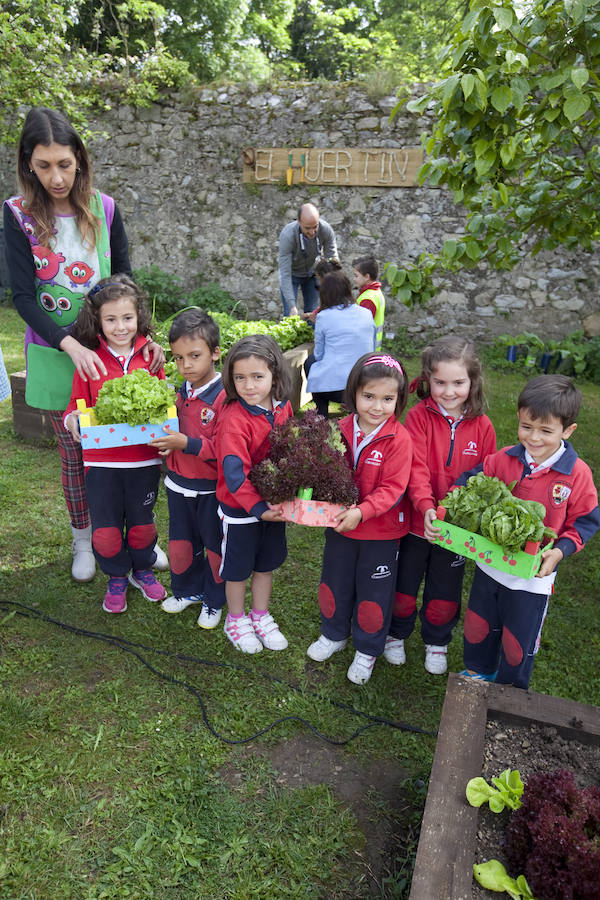 Los peques del Codema ya tienen su huerto