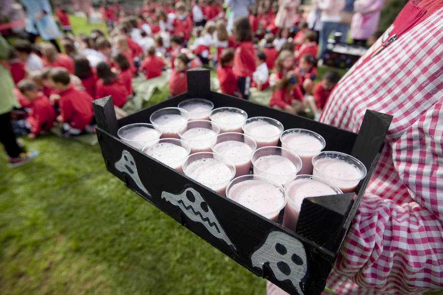 Los peques del Codema ya tienen su huerto