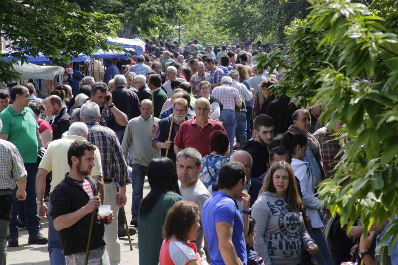 Más de 3.000 cabezas de ganado en la Feriona de Corao