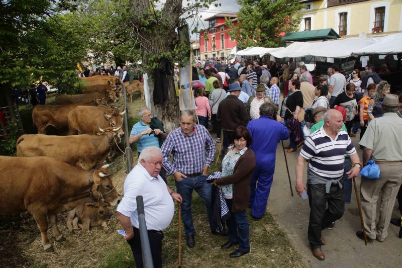 Más de 3.000 cabezas de ganado en la Feriona de Corao