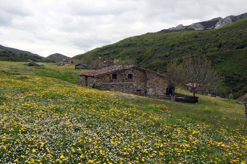 Los Collainos. Puerto de San Isidro. 