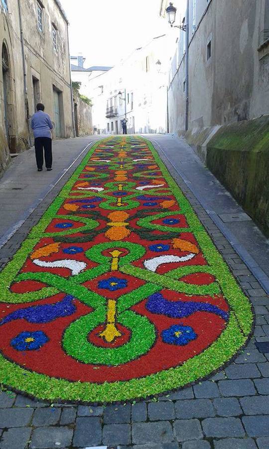 Alfombras florales en Castropol