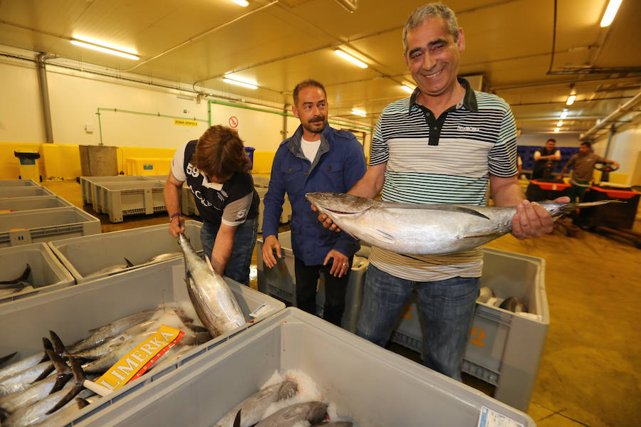 200,80 euros, el kilo de bonito en Avilés